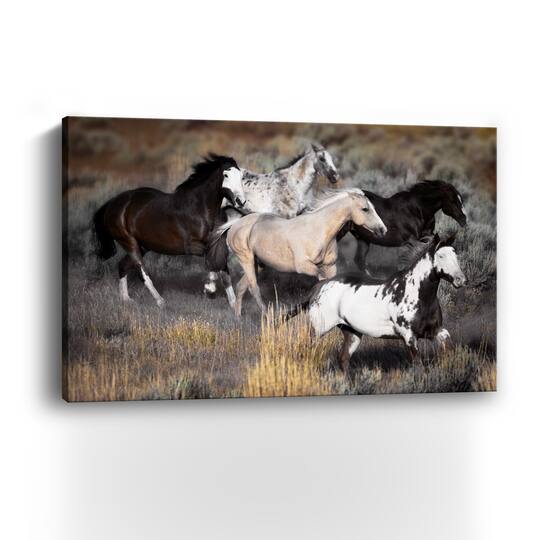 High Prairie Run Canvas Giclee
